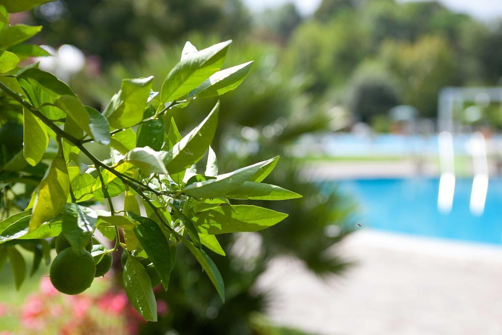 Hotel Harrys' Garden Abano Terme Esterno foto